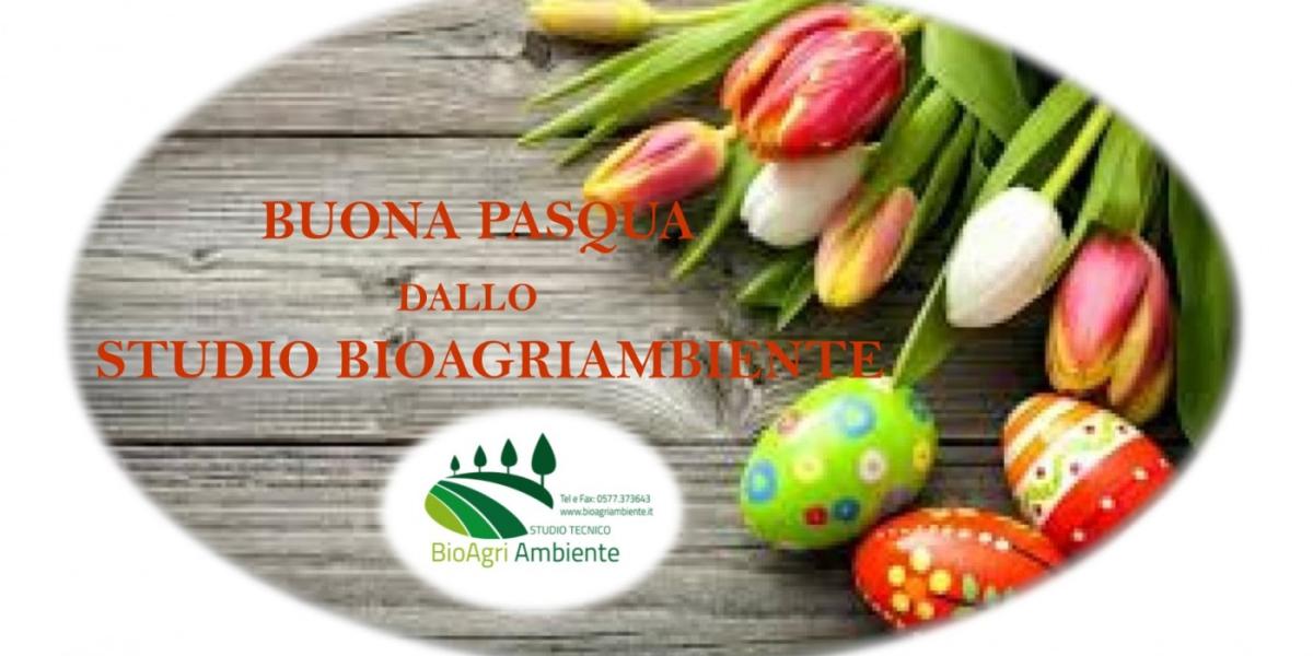 images/Pasqua-ok-.jpg