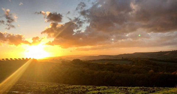 Certificazioni Volontarie - Bioagriambiente