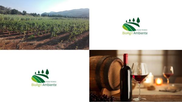 Vigneto, vino e botte di legno 